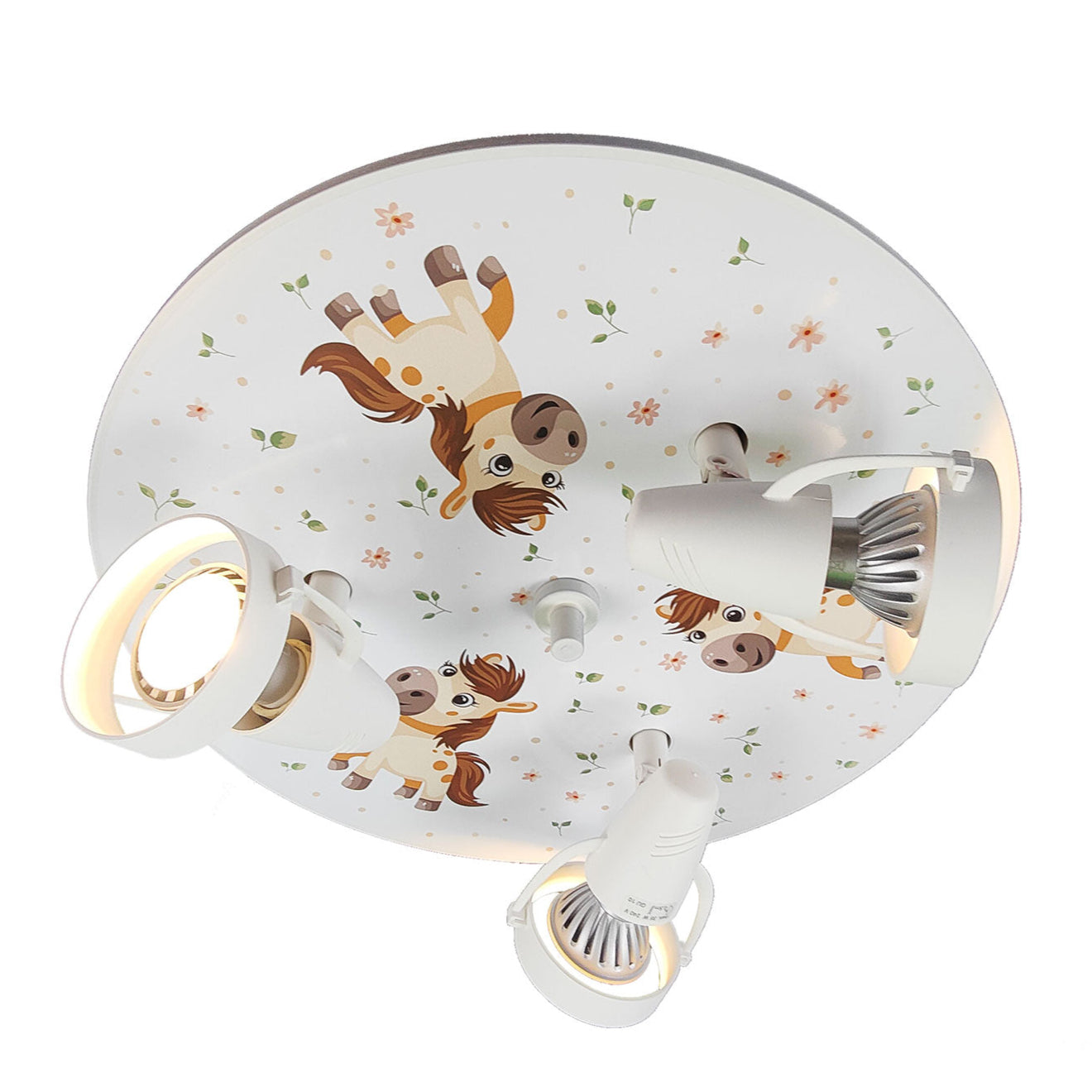 Strahler "Pony Paula"