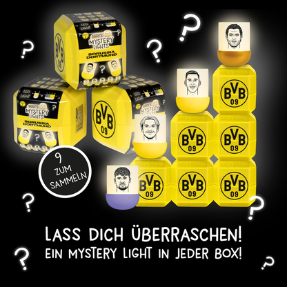 Mystery Box BVB EDITION - 1 Stück - zufällige Figurenauswahl