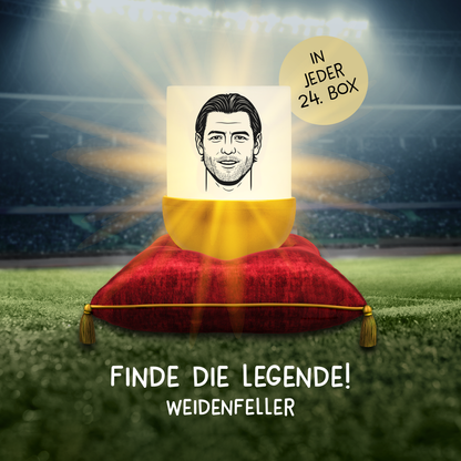 Mystery Box BVB EDITION - 1 Stück - zufällige Figurenauswahl