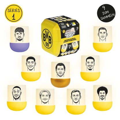Mystery Box BVB EDITION - 1 Stück - zufällige Figurenauswahl