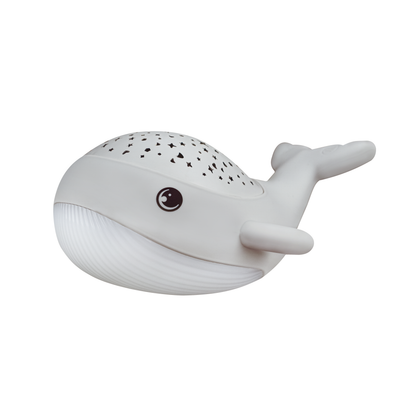 Nachtlicht Willy Whale